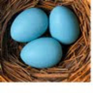 Meet your Posher, Cori